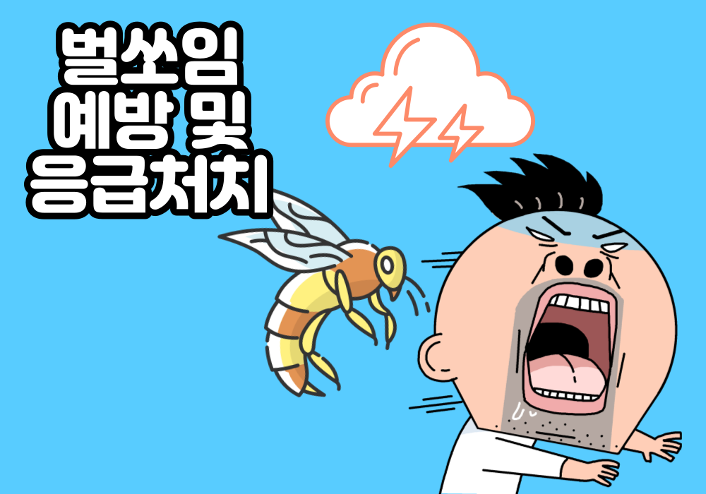  벌쏘임,  사고예방 및 응급처치법