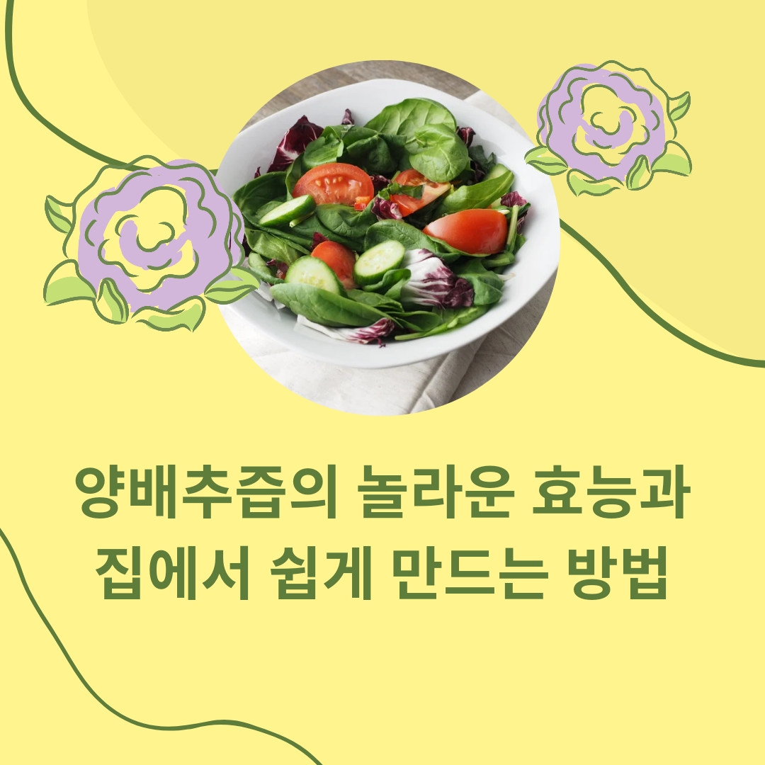  양배추즙의 놀라운 효능과 집에서 쉽게 만드는 방법