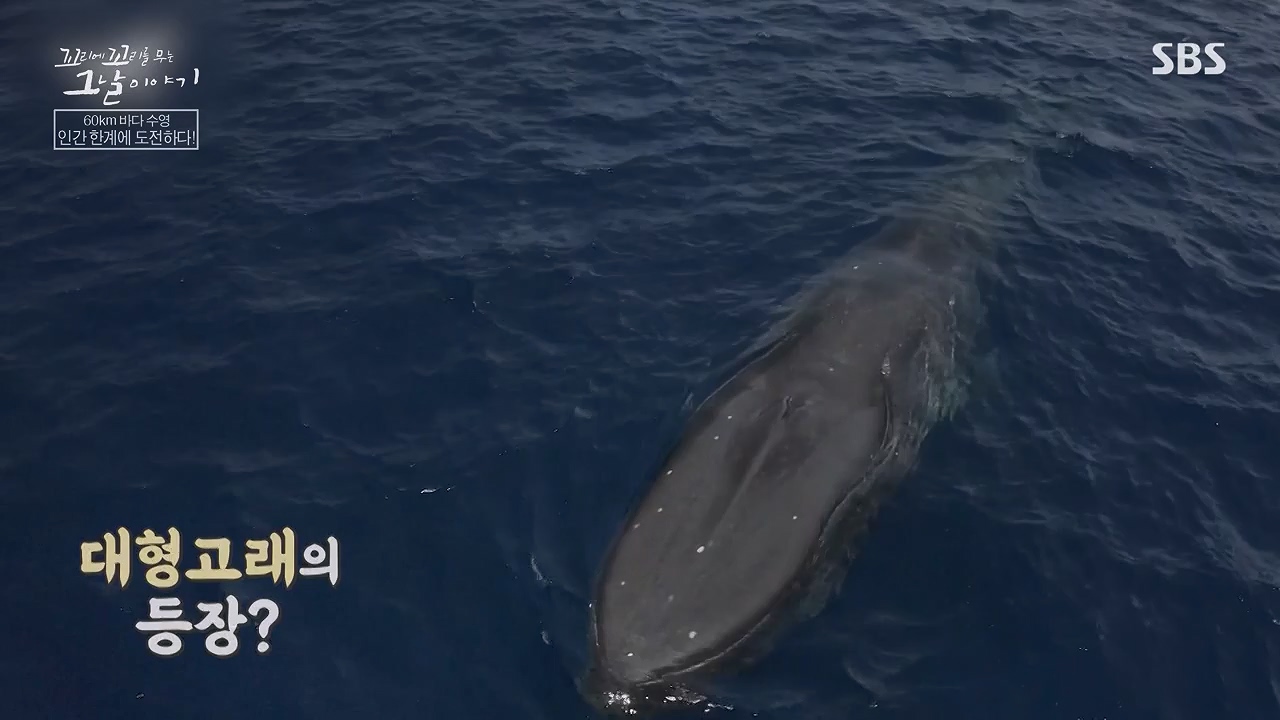 꼬리에 꼬리를 무는 그날 이야기.E132.240614p-NEXT.mp4_20240615_150700.543.jpg