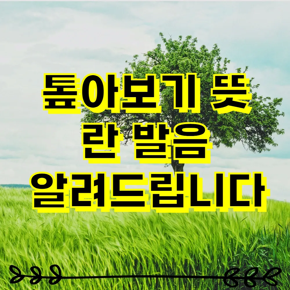 톺아보기 뜻 란 발음 알려드립니다