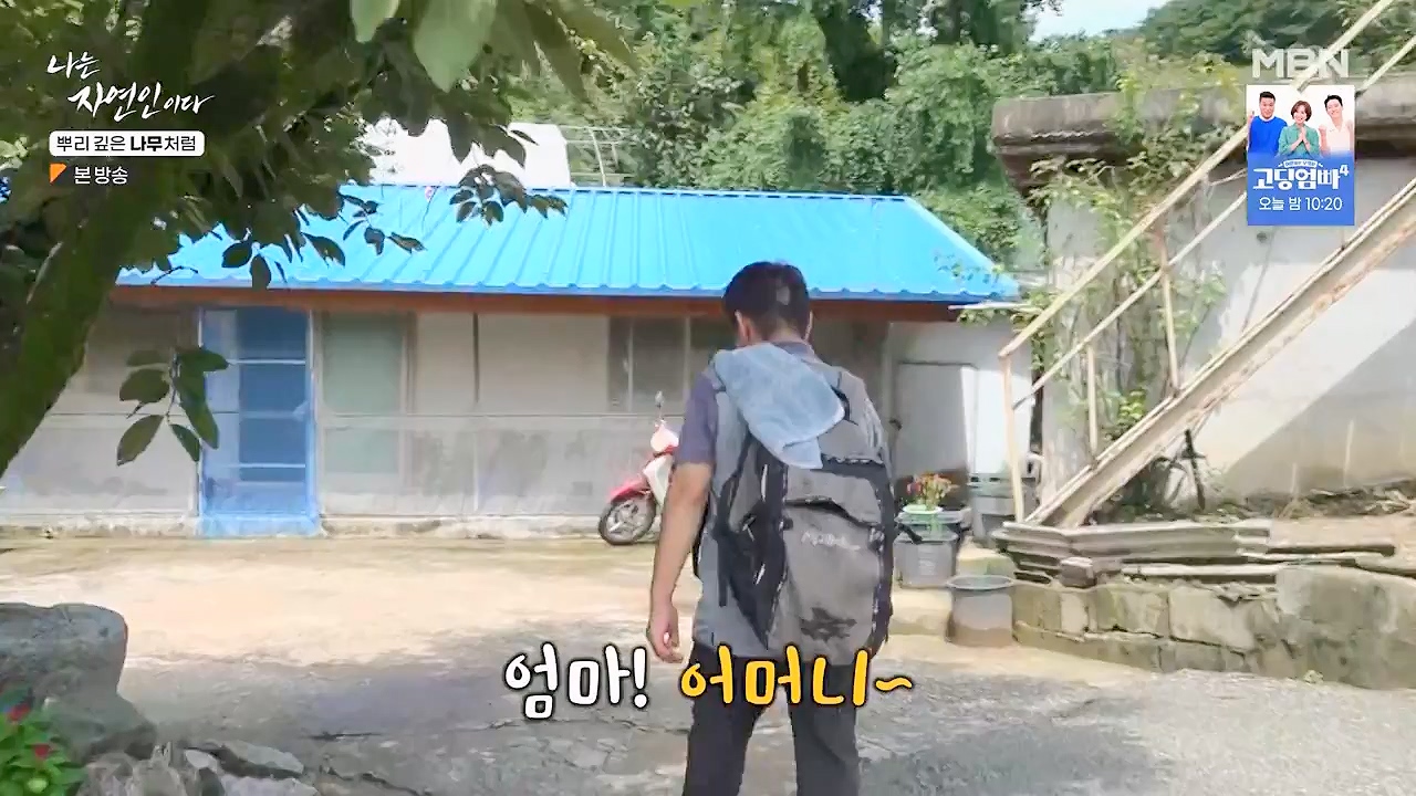 나는 자연인이다.E571.230914p-NEXT.mp4_20230914_202153.998.jpg
