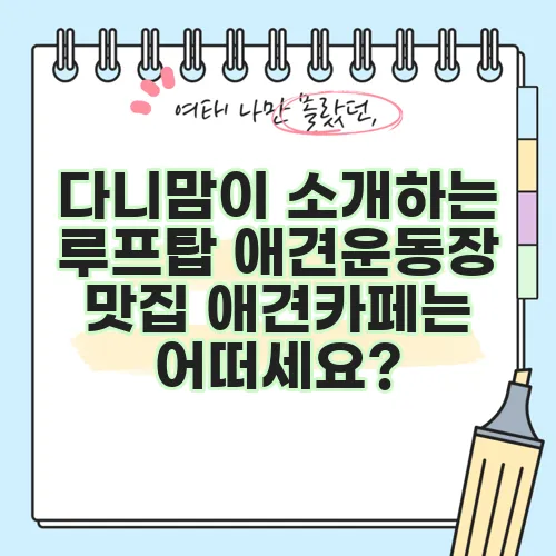 다니맘이 소개하는 루프탑 애견운동장 맛집 애견카페는 어떠세요?