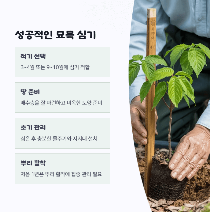 산딸나무