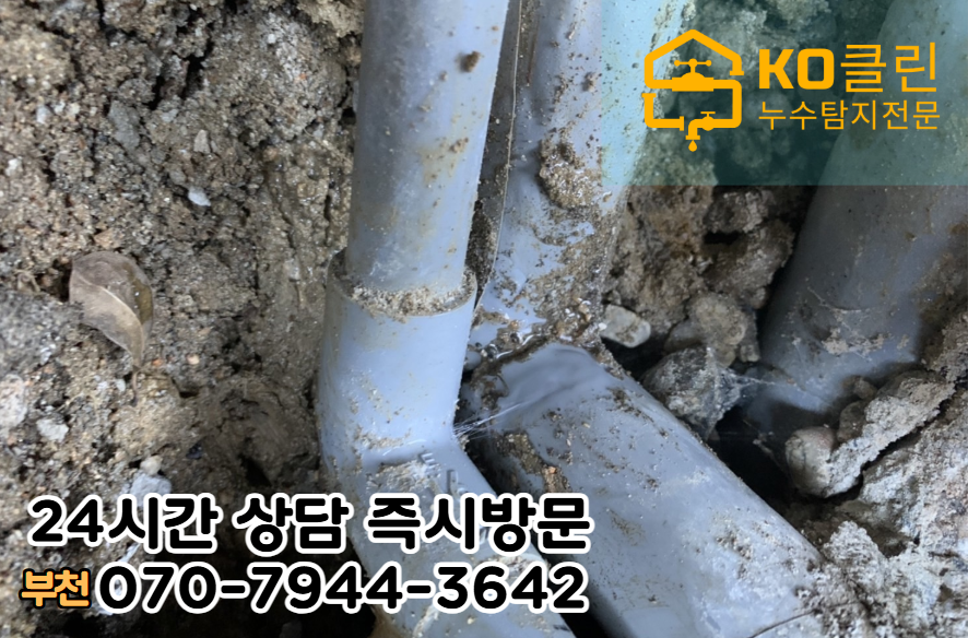 삼정동 지역 아파트/빌라/상가건물3