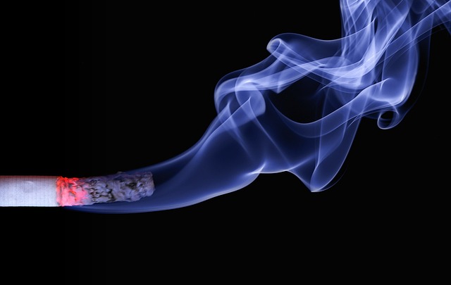 담배-연기-사진