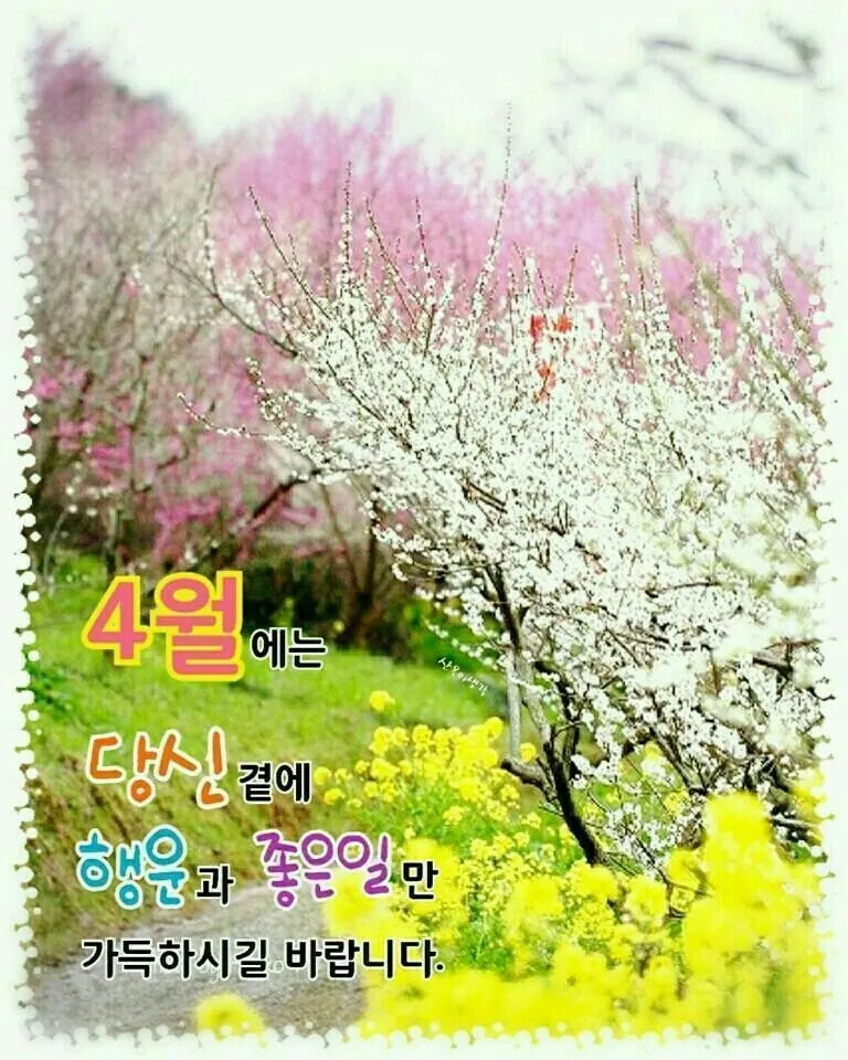 모음집 이미지