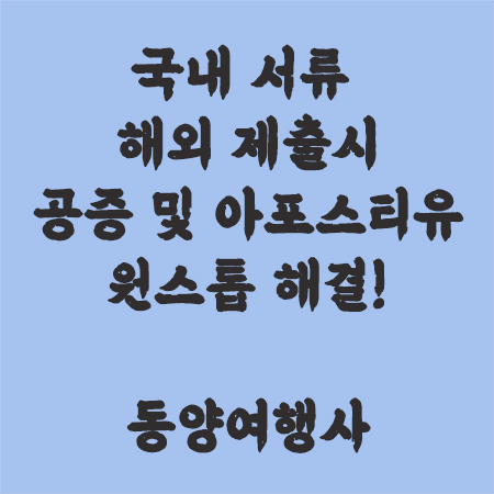 아포스티유해결