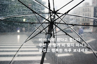 투명 비닐 우산으로 바라본 비오는 도로 풍경