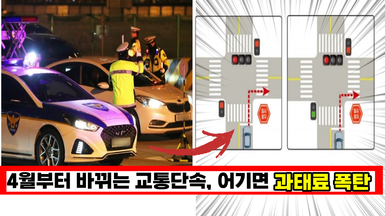  4월 20일 부터 바뀌는 교통 단속, '이걸' 어기면 과태료 폭탄 맞아요.