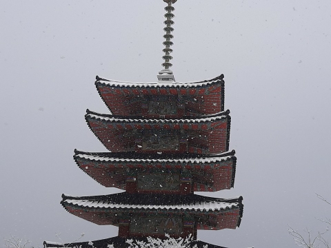 img.jpg