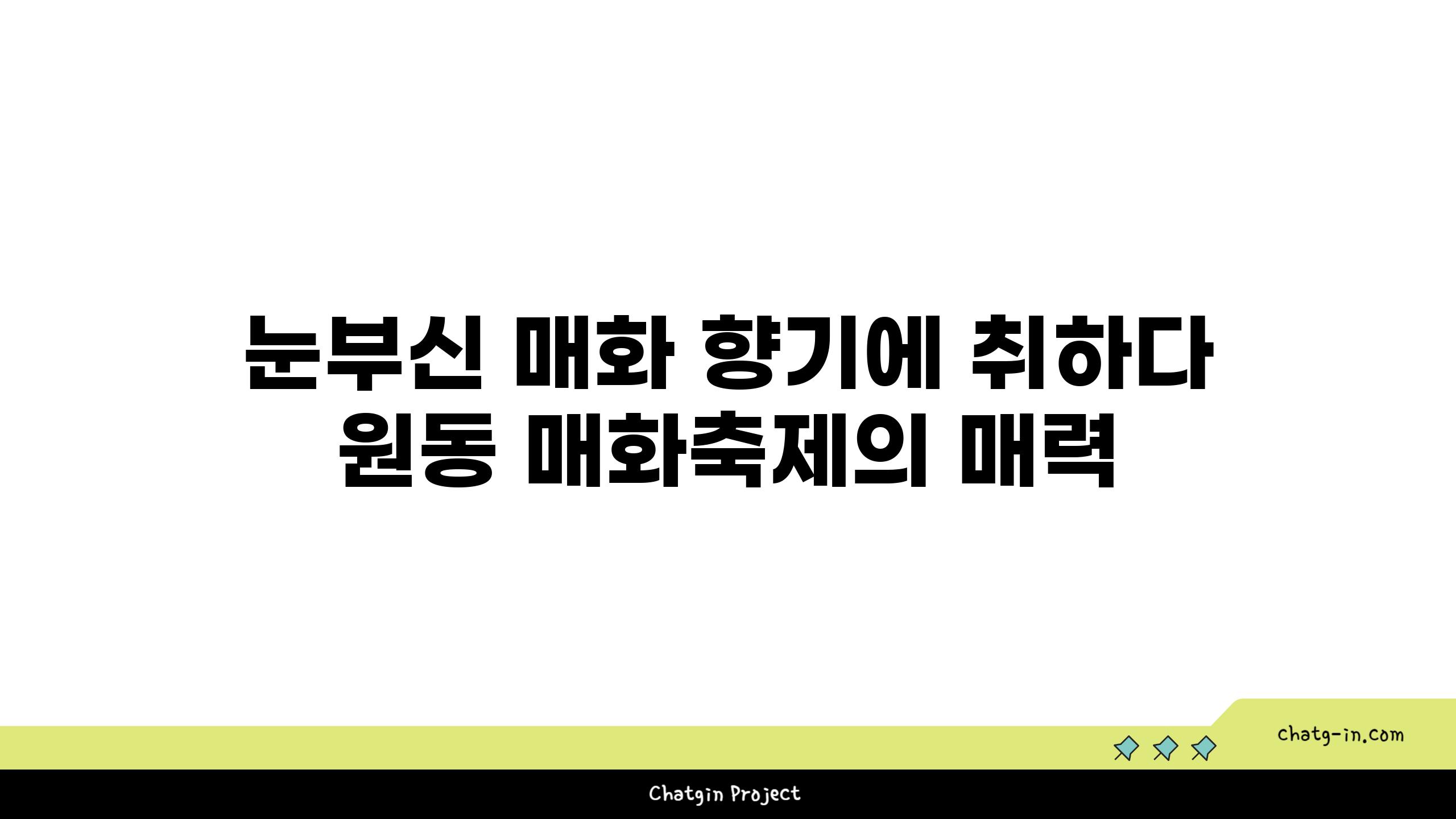 눈부신 매화 향기에 취하다 원동 매화축제의 매력