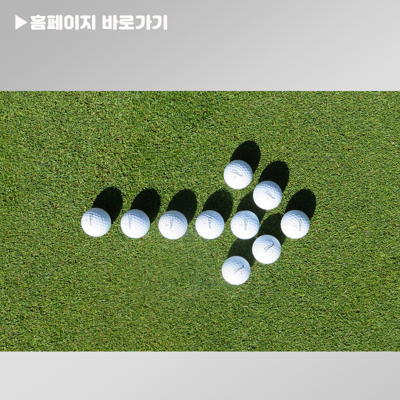 PGA 투어 합병