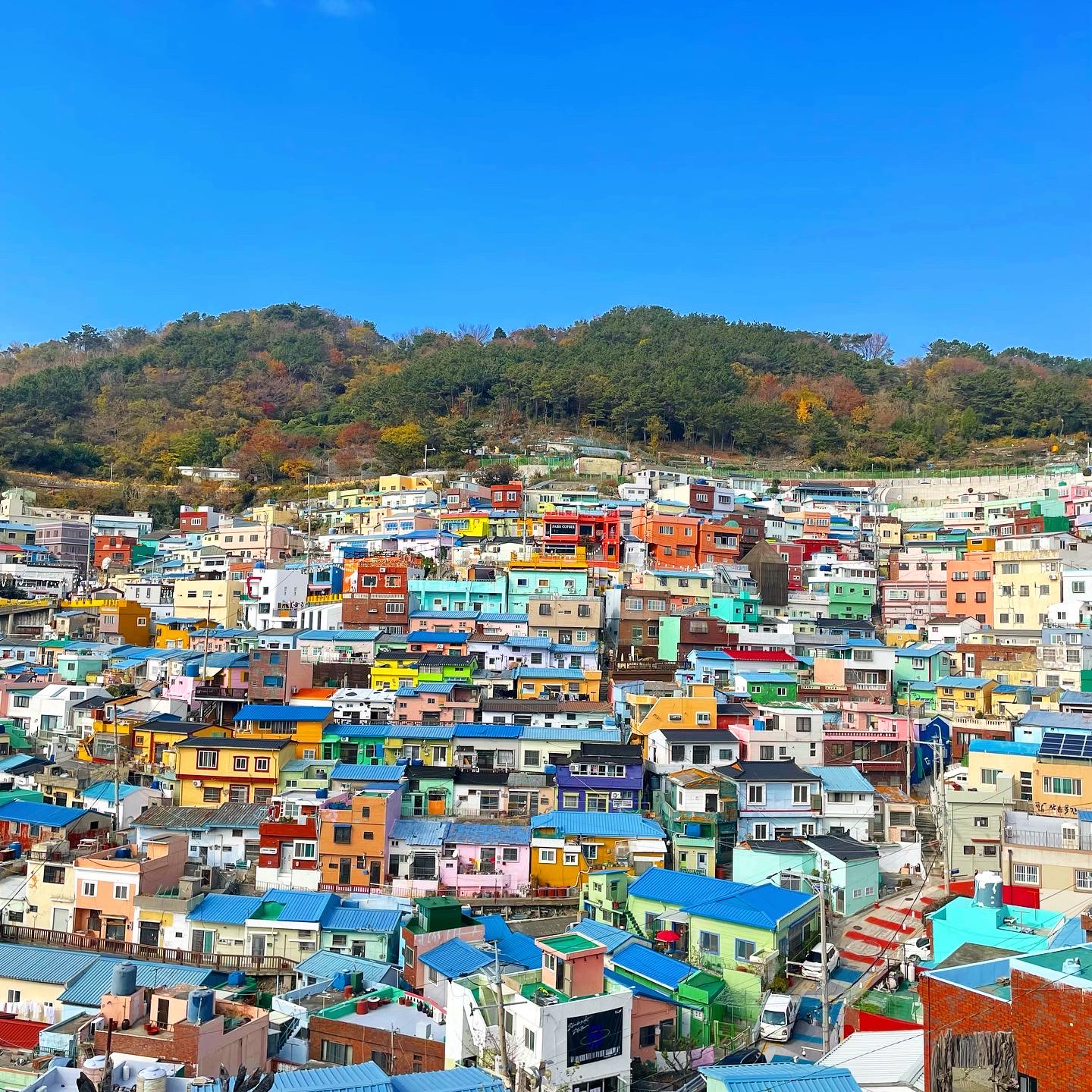  [부산] 가볼만한곳 <감천문화마을>(feat.포토존)