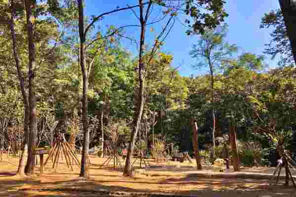 판교공원-유아숲체험원