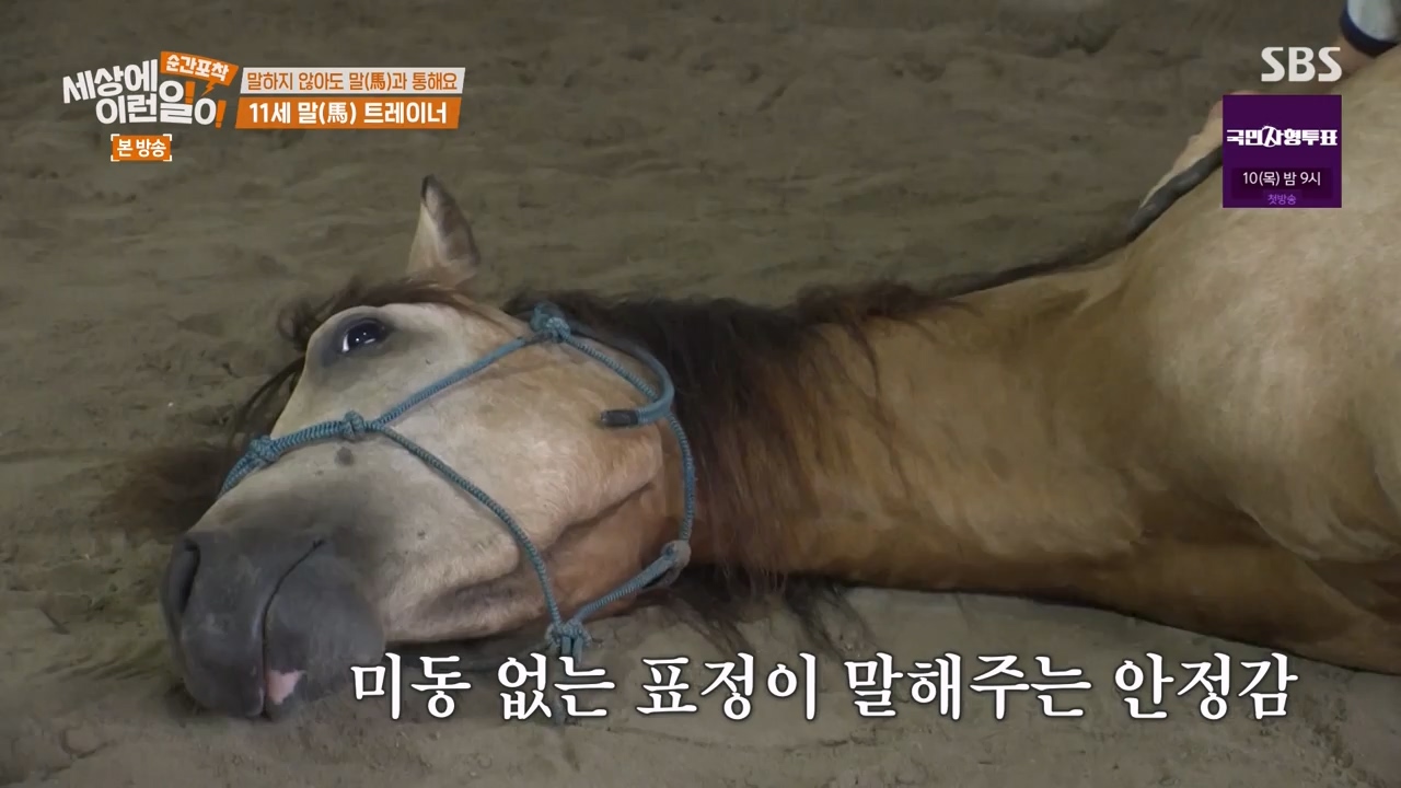 순간포착 세상에 이런일이.E1240.230806p-NEXT.mp4_20230806_161415.418.jpg