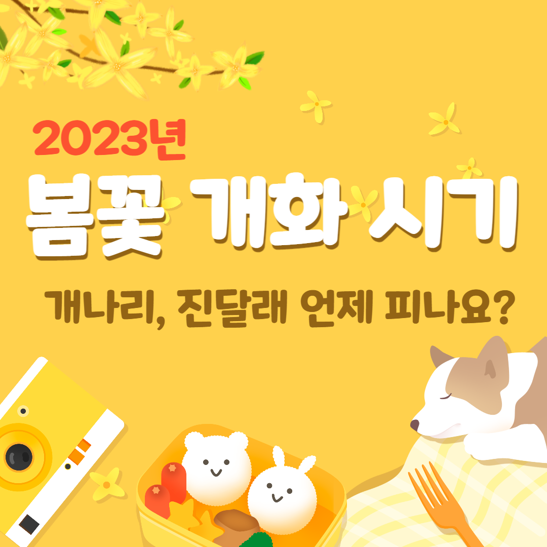 2023년 봄꽃(개나리/진달래) 개화시기