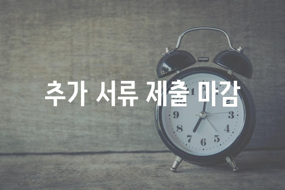 추가 서류 제출 마감