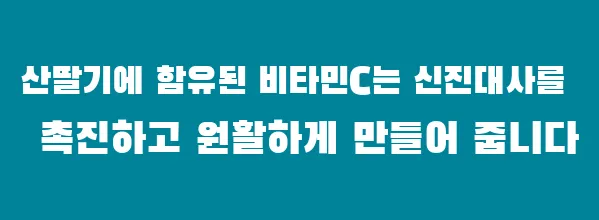 산딸기에 함유된 비타민C는 신진대사를 촉진하고 원활하게 만들어 줍니다
