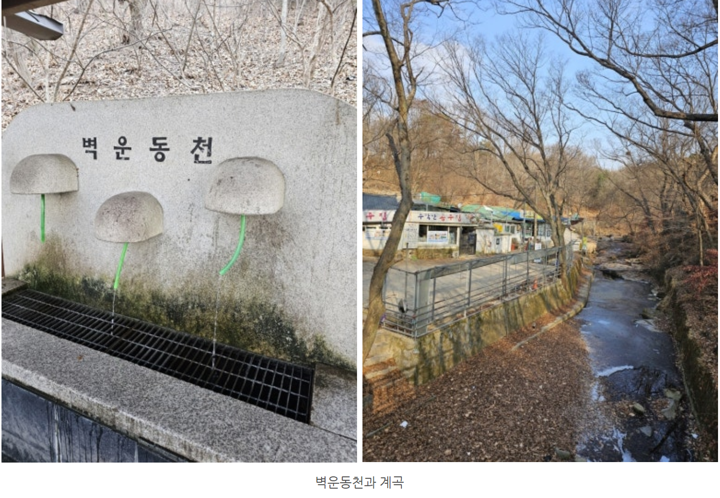 2026년 2월 아이