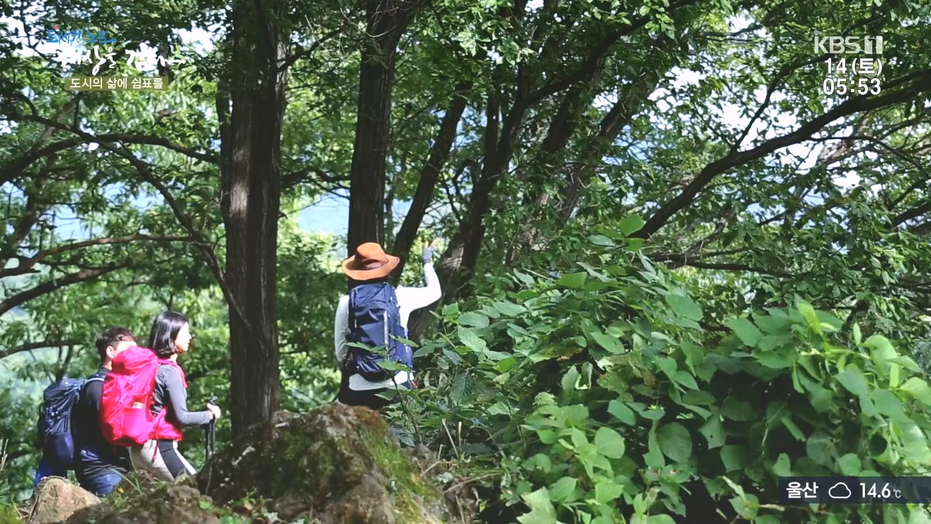 트레킹노트 세상을 걷다.E290.231014p.H264-F1RST.mp4_20231014_181409.051.jpg