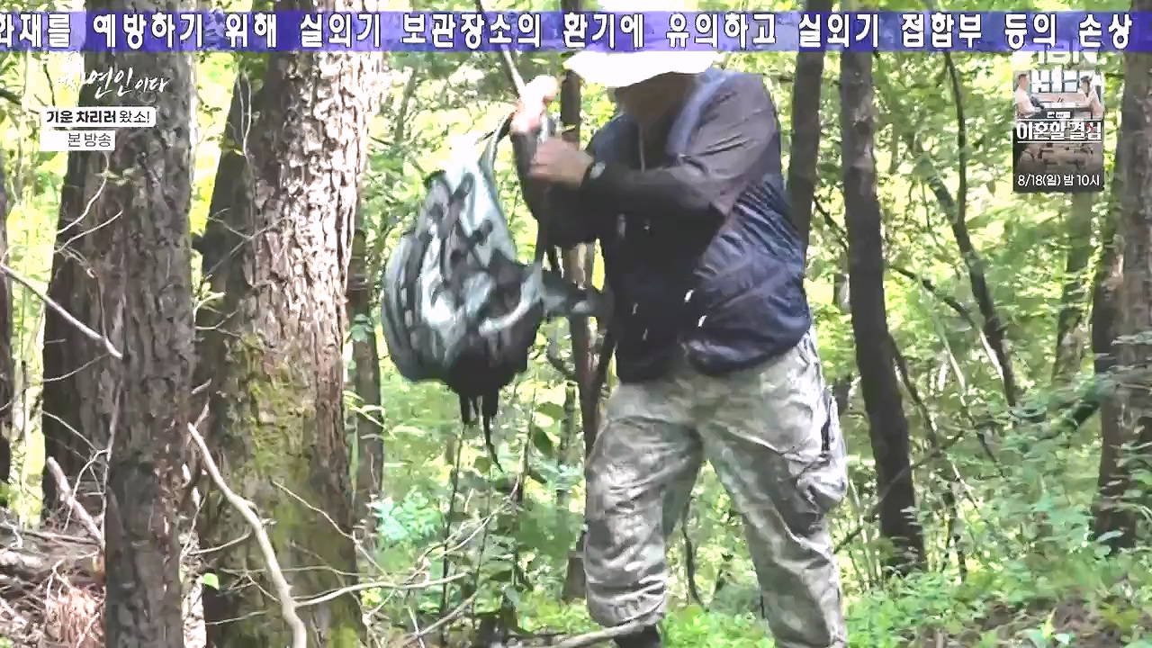 나는 자연인이다.E617.240808p-NEXT.mp4_20240808_195040.157.jpg
