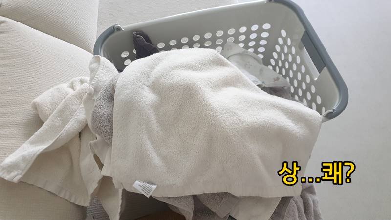 위칙 사용 후기