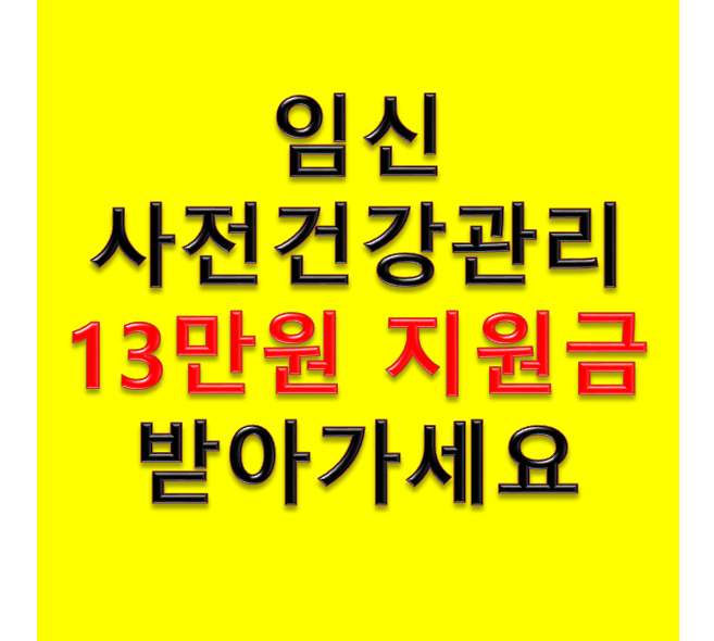 임신사전건강관리 지원금