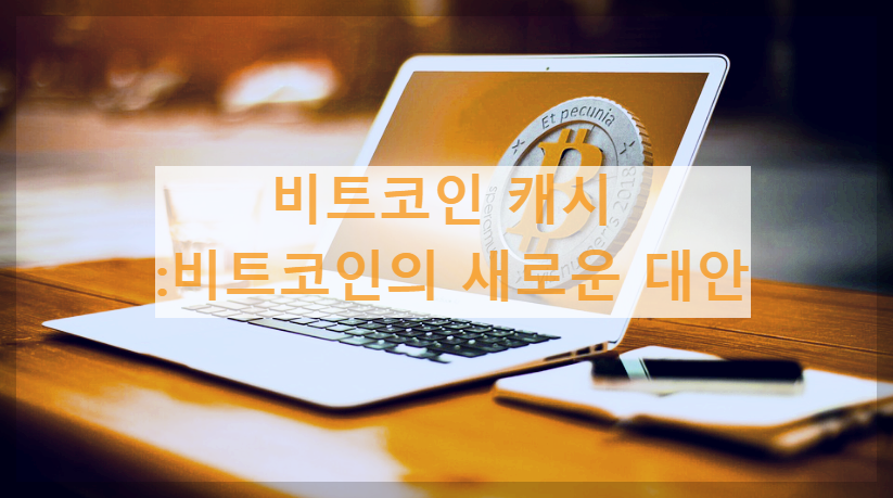  비트코인 캐시 : 비트코인의 새로운 대안