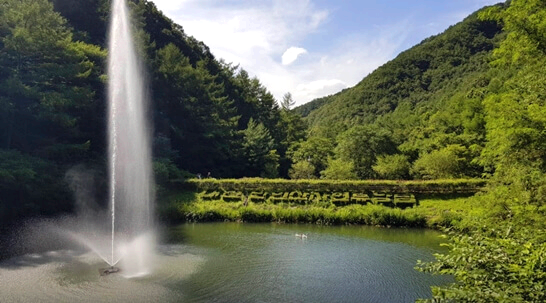 만인산자연휴양림-대전-주변-가볼만한곳-추천