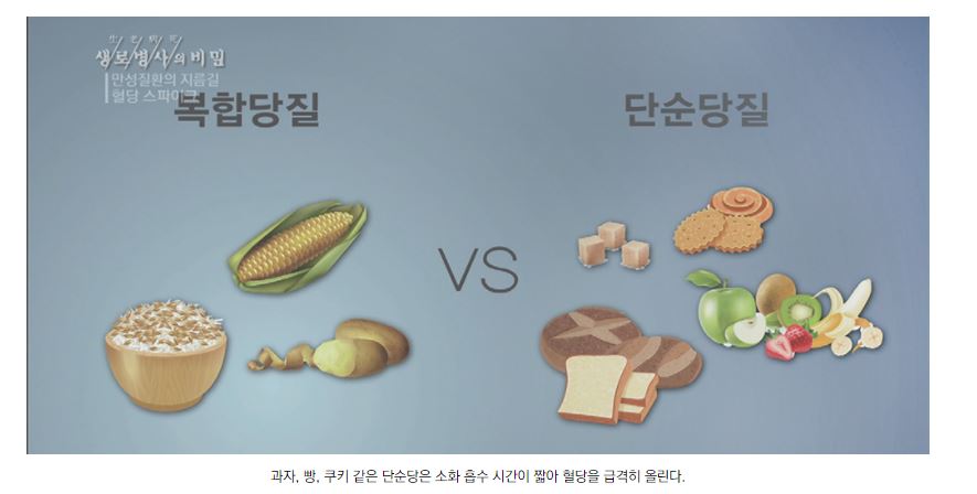  [당뇨!!] 바보야 핵심은 혈당이 아니야~3