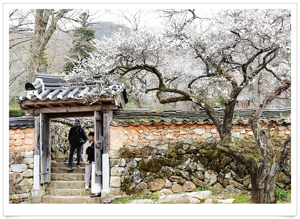 선암사 이미지