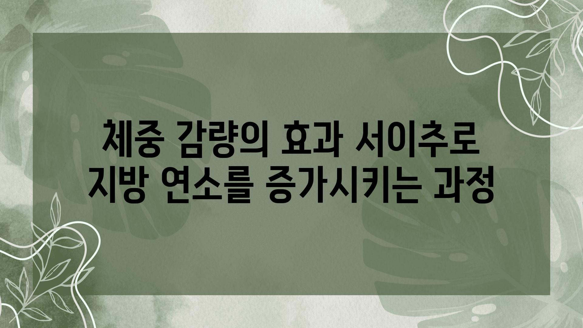 체중 감량의 효과 서이추로 지방 연소를 증가시키는 과정