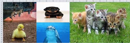 엑셀에 첨부된 이미지 파일들을 예시로 보여주는 사진