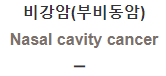  비강암(부비동암) [Nasal cavity cancer]