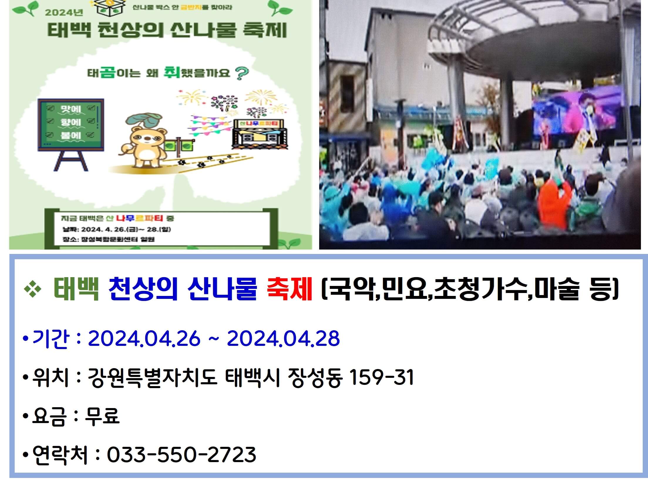 태백 천상의 산나물 축제
