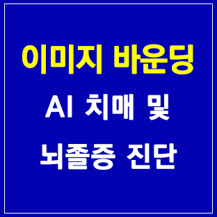 이미지 바운딩 AI 치매 및 뇌졸증 진단