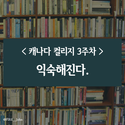  캐나다 컬리지 3주차: 익숙해진다.