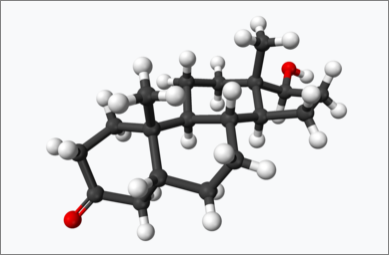 디하이드로테스토스테론(DHT) 분자모형