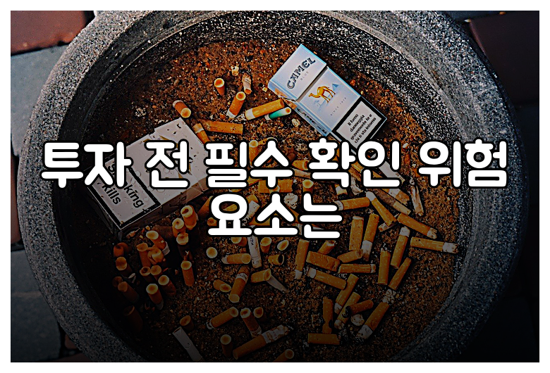 투자 전 필수 확인 위험 요소는