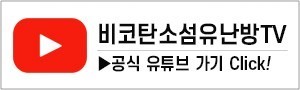탄소섬유시공인테리어 이미지
