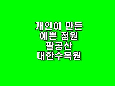  [문화 명소] 가족나들이하기 좋은 대구의 명소 팔공산 자락 대한 수목원 방문기 (대구 가볼한만 곳)