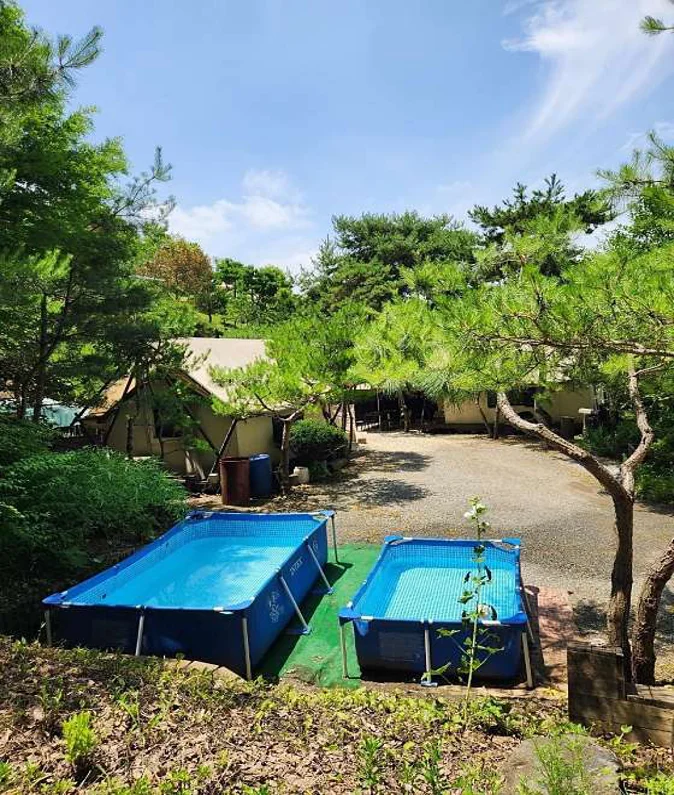 충주커피박물관 글램핑카라반펜션