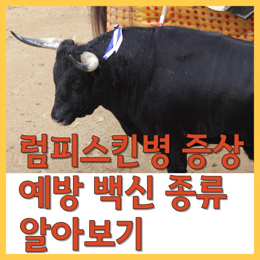  럼피스킨병 증상 예방 백신 종류 알아보기