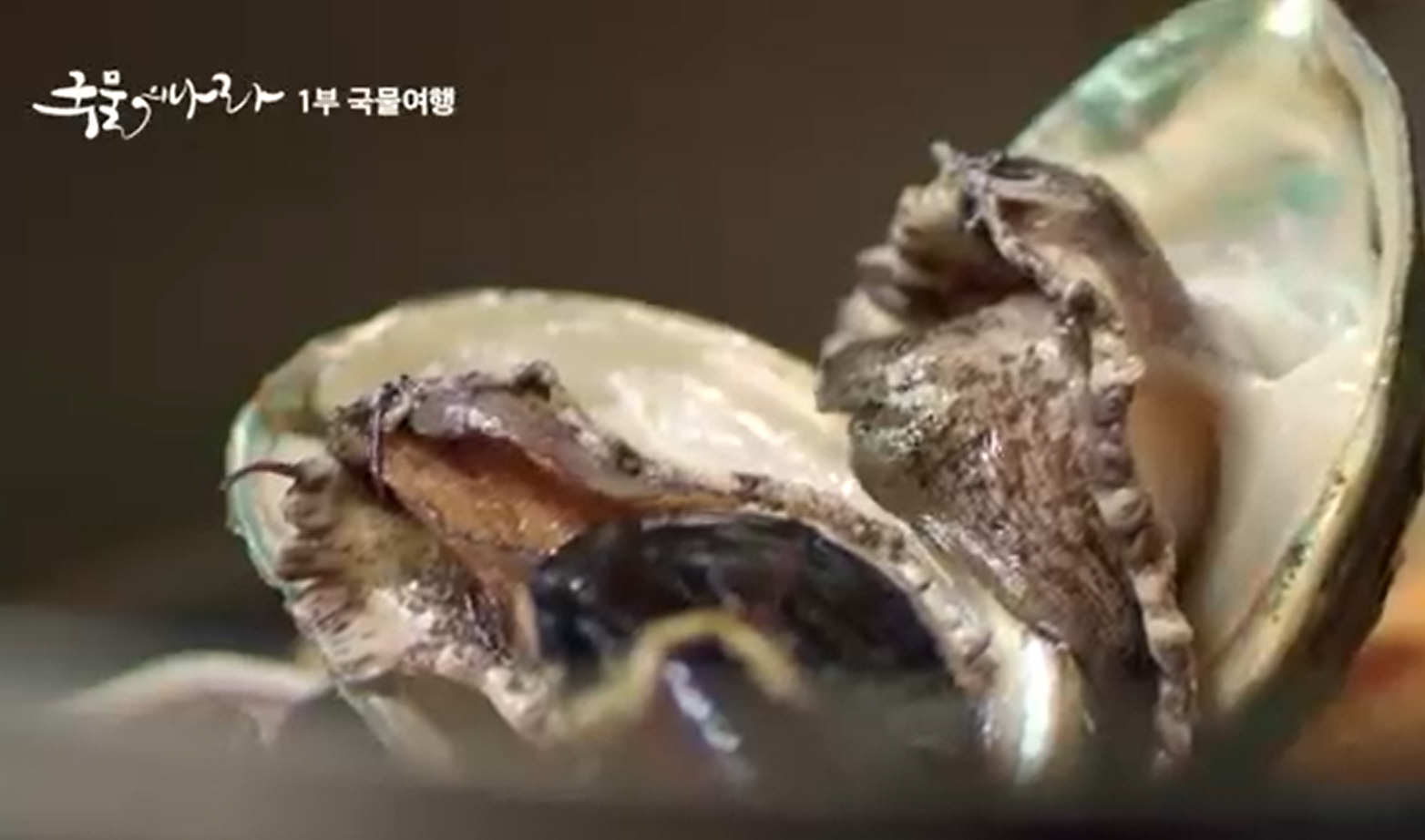 통영해물뚝배기