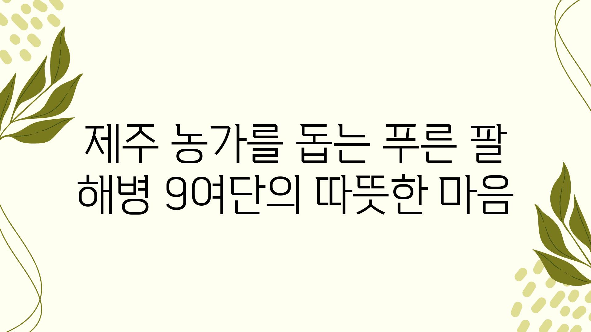 제주 농가를 돕는 푸른 팔 해병 9여단의 따뜻한 마음