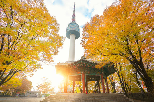 All You Need to Know about South Korea Tourism Statistics 2023 (Part.2)