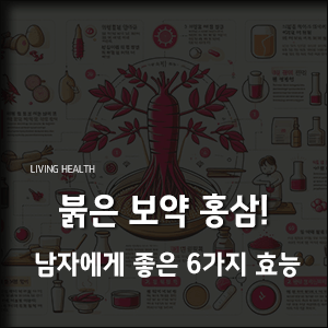  붉은 보약 홍삼! 남자에게 좋은 6가지 효능