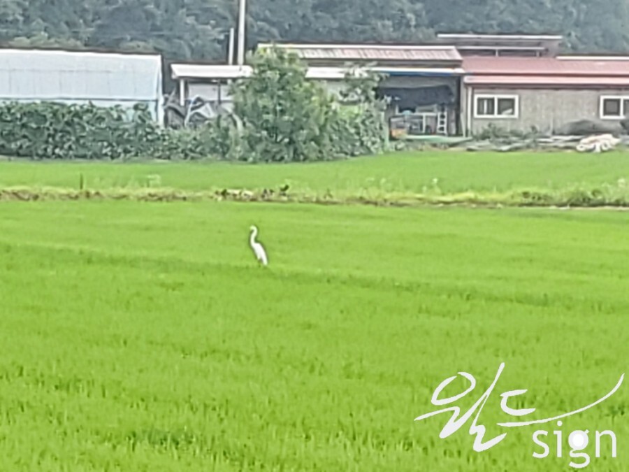 월드자동차정비 이미지
