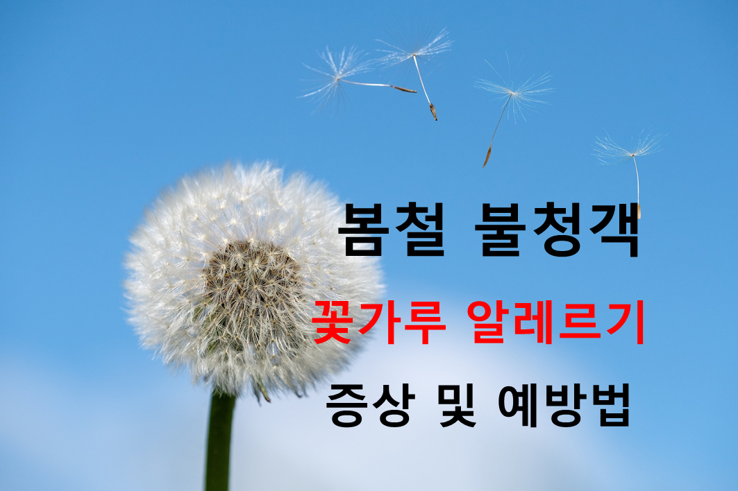  봄철 불청객 꽃가루 알레르기의 증상과 예방법