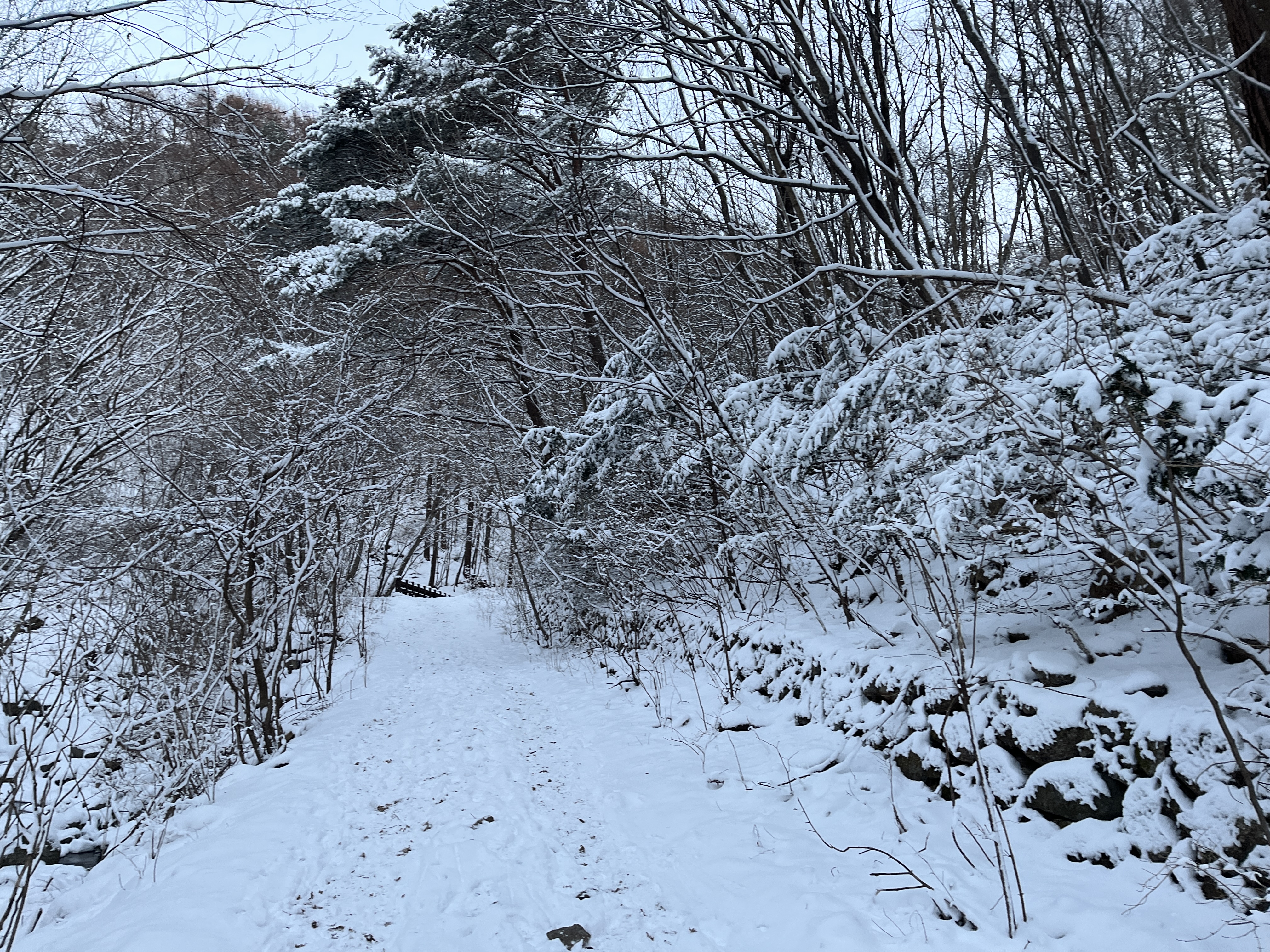 소백산